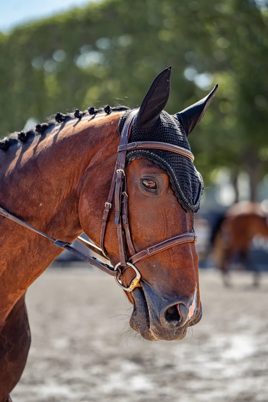 Photo, sport, equestrian, Paris, longines,