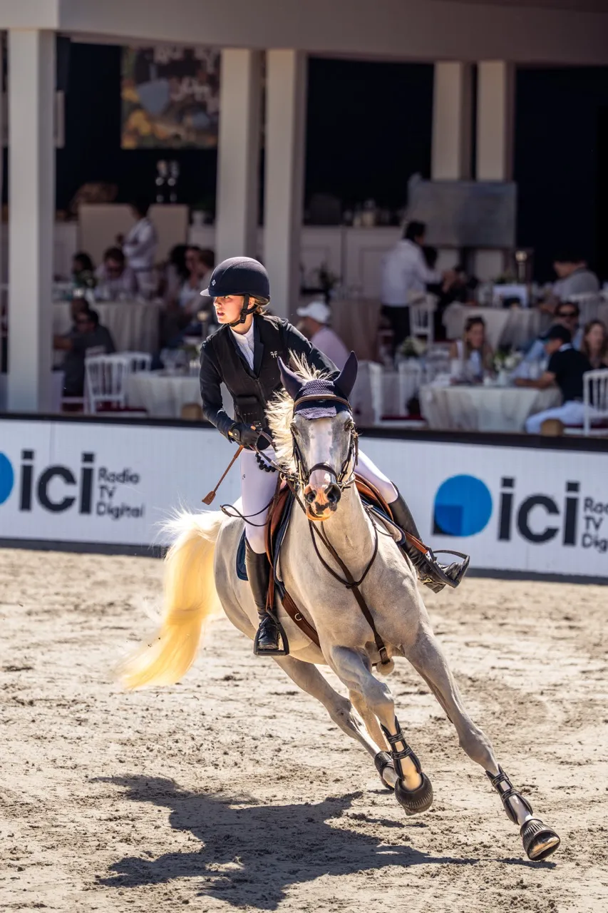 Photo, sport, equestrian, Paris, longines, horse