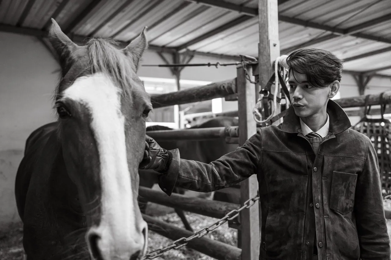 portrait équestre photographie équestre cheval portrait photo cheval portrait cheval artistique séance photo cheval