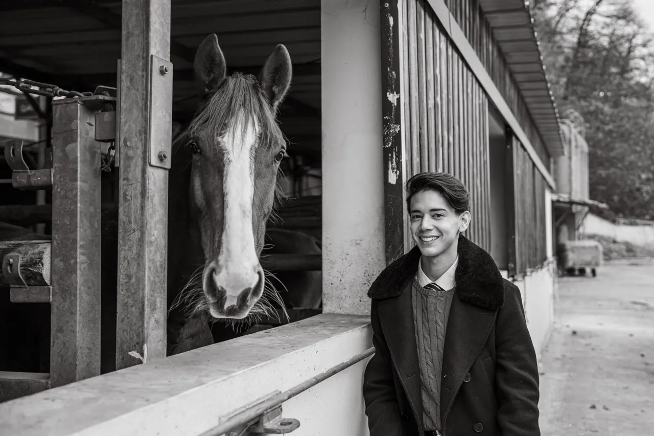 portrait équestre photographie équestre cheval portrait photo cheval portrait cheval artistique séance photo cheval