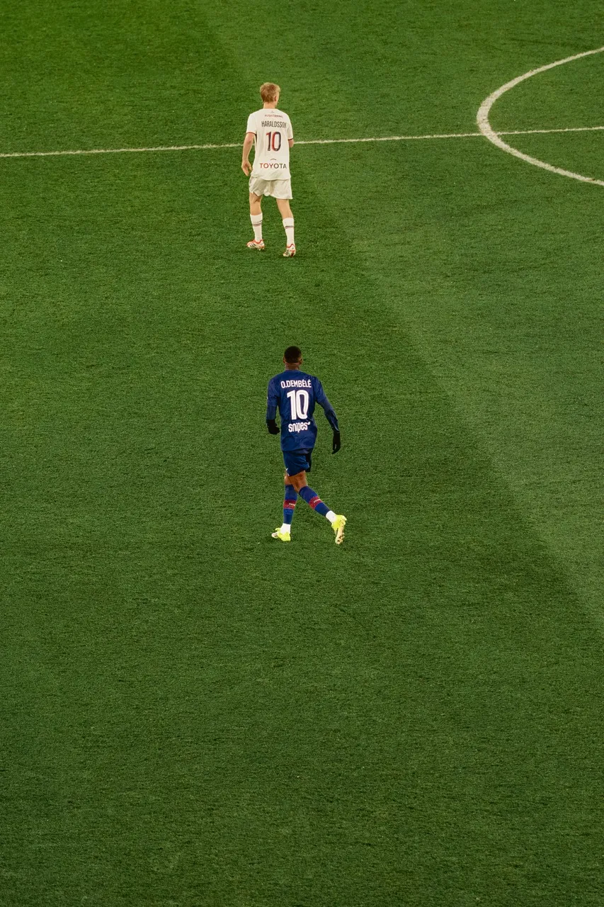 Nicolas-Vinh-Photographie-103 Large