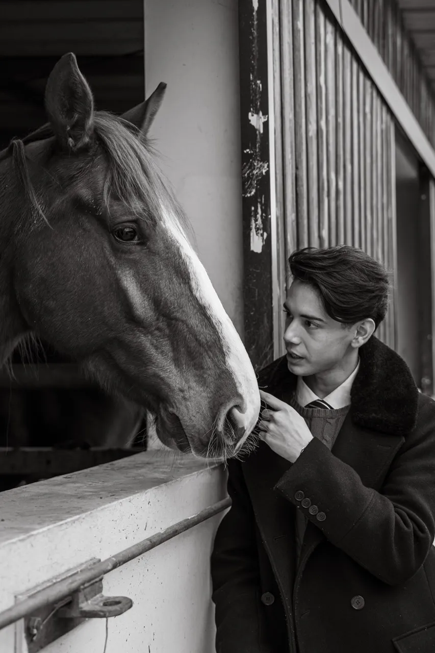 portrait équestre photographie équestre cheval portrait photo cheval portrait cheval artistique séance photo cheval